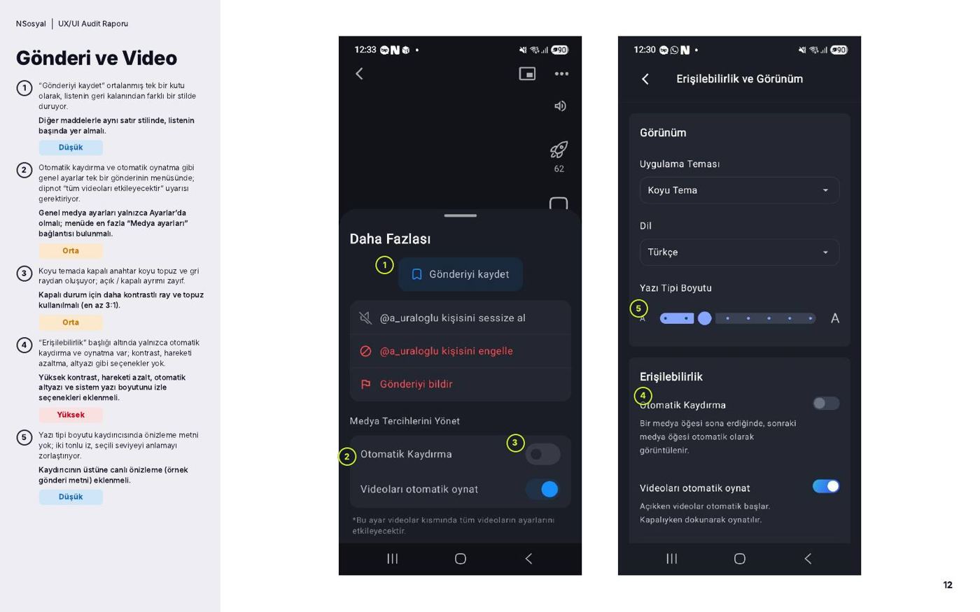 Rapor sayfası: Gönderi ve Video bulguları